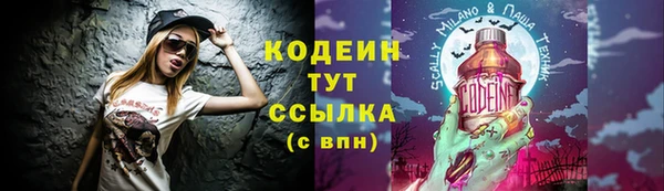 гашик Каменка