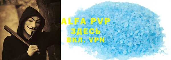 гашик Каменка