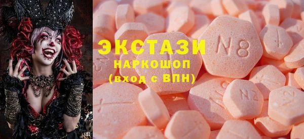 гашик Каменка