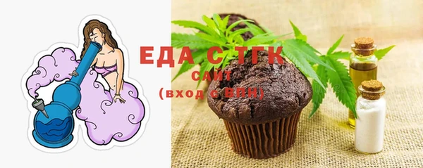 гашик Каменка
