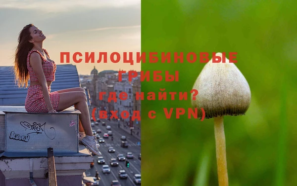 прущие крисы Каменск-Шахтинский