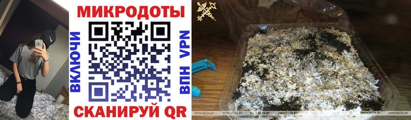 Галлюциногенные грибы прущие грибы  Махачкала 