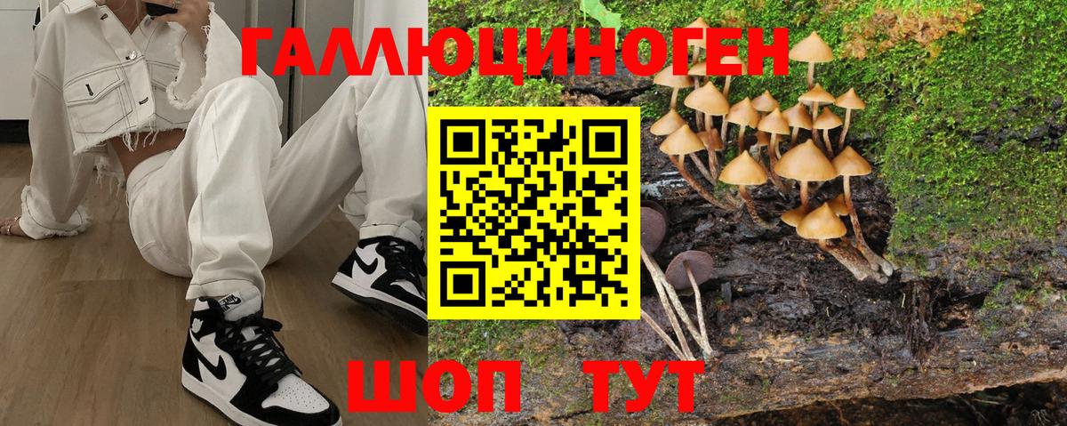 сколько стоит  Вход с VPN  Махачкала  Псилоцибиновые грибы Cubensis 
